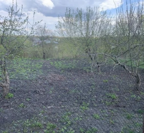 Фото 5. Будинок, продаж. Озерна
