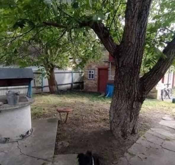 Фото 1. Будинок, продаж. Красна Слобідка