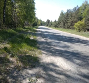 Photo 2. Lot, for sale. Sosnivka