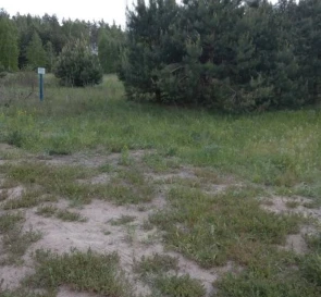 Photo 4. Lot, for sale. Sosnivka