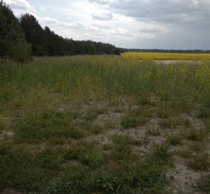 Photo 5. Lot, for sale. Sosnivka