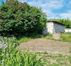 Фото 3. Дом, продажа. Васильков