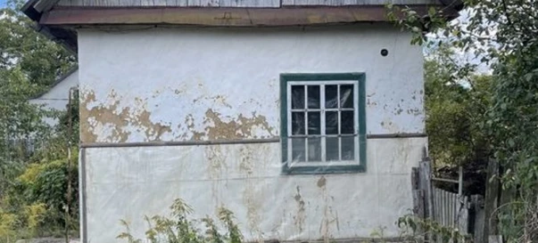 Фото 4. Будинок, продаж. Малютянка