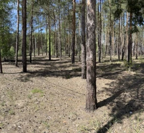 Фото 4. Ділянка, продаж. Лебедівка