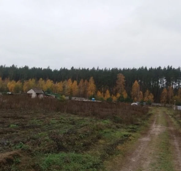 Photo 1. Lot, for sale. Protsiv