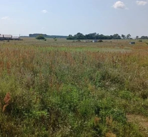 Photo 2. Lot, for sale. Vorzel