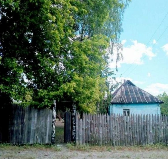 Фото 1. Участок, продажа. Феневичи