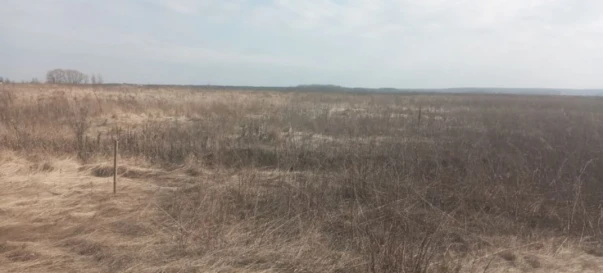 Фото 2. Ділянка, продаж. Рожни