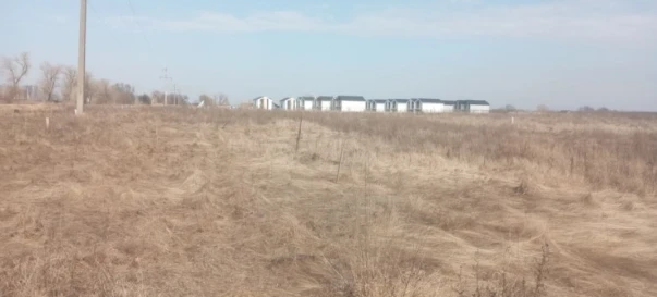 Фото 3. Ділянка, продаж. Рожни