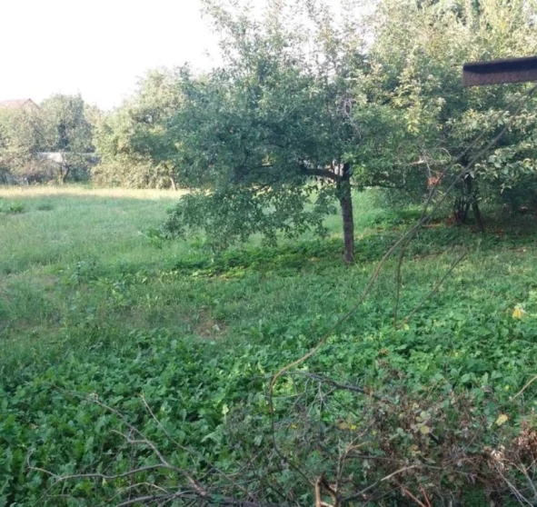 Фото 1. Будинок, продаж. Бровари