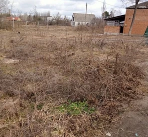 Фото 3. Ділянка, продаж. Толокунь
