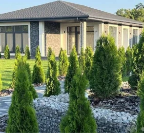 Photo 3. House, for sale. Hodosovka