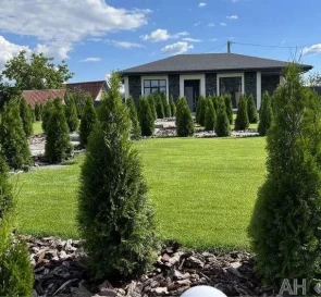 Photo 2. House, for sale. Hodosovka