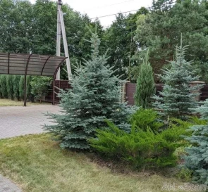 Foto 2. Casa, en venta. Tarasivka