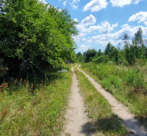 Фото 4. Дом, продажа. Мошны