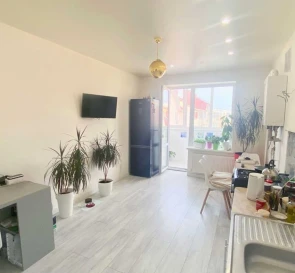 Photo 2. One-Room flat, for sale. Sofiivska Borshchahivka