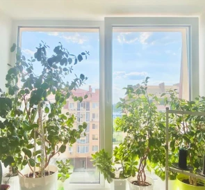 Photo 4. One-Room flat, for sale. Sofiivska Borshchahivka