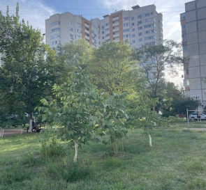 Фото 5. Однокомнатная квартира, продажа. Вишневое