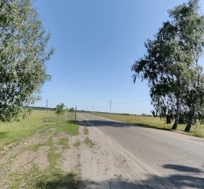 Photo 3. Lot, for sale. Dibrova