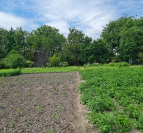 Photo 3. Lot, for sale. Kyiv Деснянский