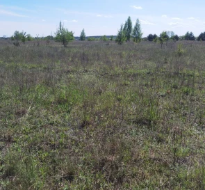 Фото 4. Участок, продажа. Блиставиця