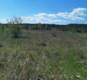 Фото 3. Участок, продажа. Блиставиця