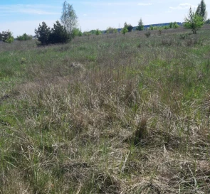 Photo 5. Lot, for sale. Blystavytsia