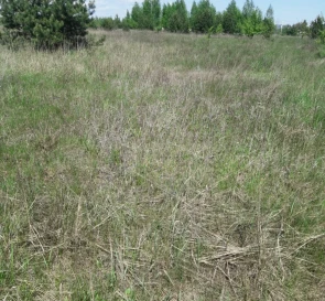 Photo 3. Lot, for sale. Blystavytsia