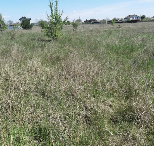 Photo 1. Lot, for sale. Blystavytsia