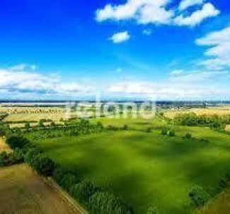 Фото 2. Ділянка, оренда. Бориспіль