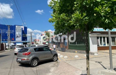 Photo Business, to rent. Petropavlivska Borshchahivka