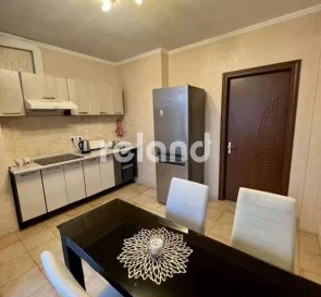 Photo 5. One-Room flat, to rent. Kyiv Голосеевский
