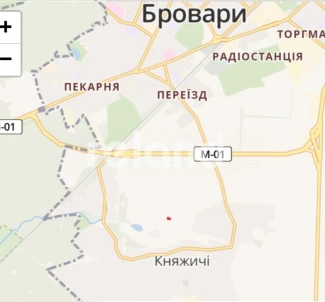 Photo 3. Lot, for sale. Kniazhychi