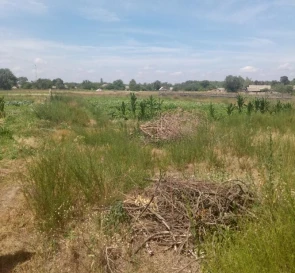 Photo 3. Lot, for sale. Vyshcha Dubechnia