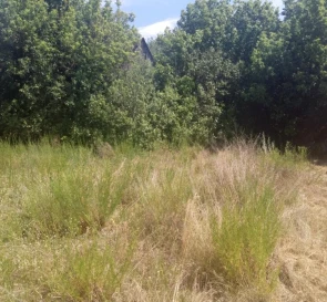 Photo 4. Lot, for sale. Vyshcha Dubechnia