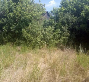 Photo 5. Lot, for sale. Vyshcha Dubechnia