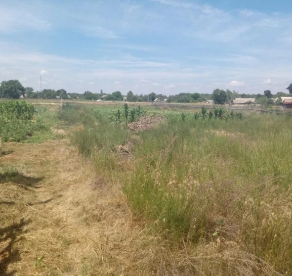 Photo 1. Lot, for sale. Vyshcha Dubechnia