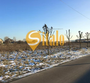 Фото 3. Ділянка, продаж. Романків