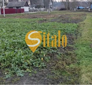 Фото 3. Участок, продажа. Вишенки