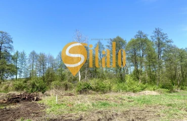 Фото Участок, продажа. Гнедин
