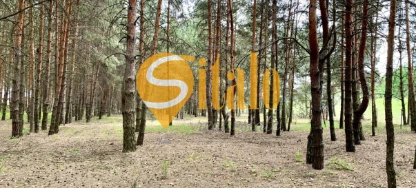 Photo 3. Lot, for sale. Protsiv