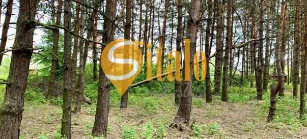 Photo 4. Lot, for sale. Protsiv