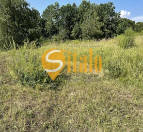 Фото 4. Ділянка, продаж. Лісники