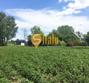 Фото 4. Участок, продажа. Подгорцы