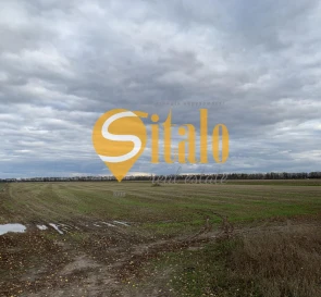 Фото 3. Ділянка, продаж. Петропавлівське