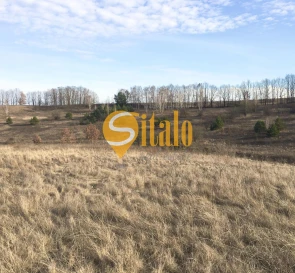 Foto 3. Terreno, en venta. Velyki Dmytrovychi