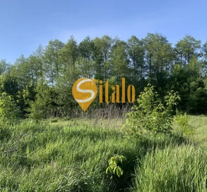 Фото 5. Ділянка, продаж. Гнідин