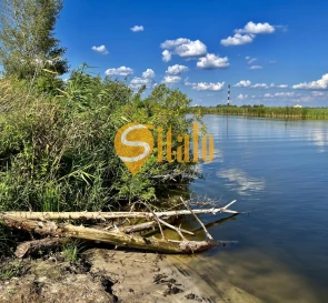 Фото 3. Участок, продажа. Киев Дарницкий
