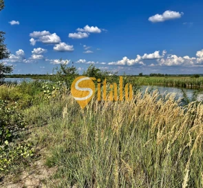 Фото 5. Участок, продажа. Киев Дарницкий