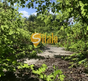 Фото 3. Ділянка, продаж. Гнідин